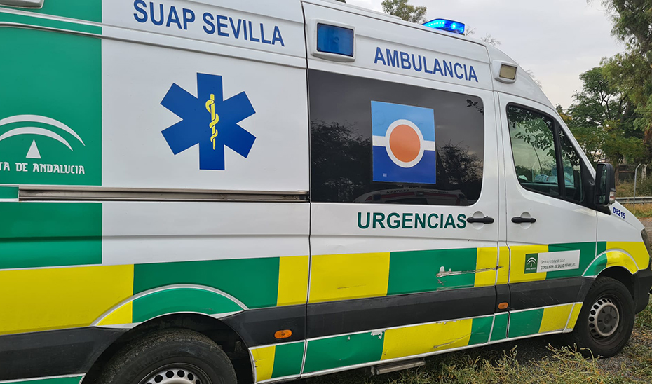 Imagen del artículo Cinco heridos tras el vuelco de un coche de caballos en Sevilla capital